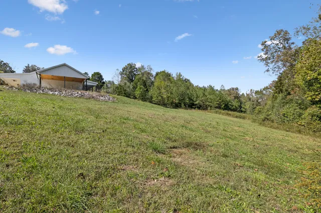a view of a forest with an outdoor space