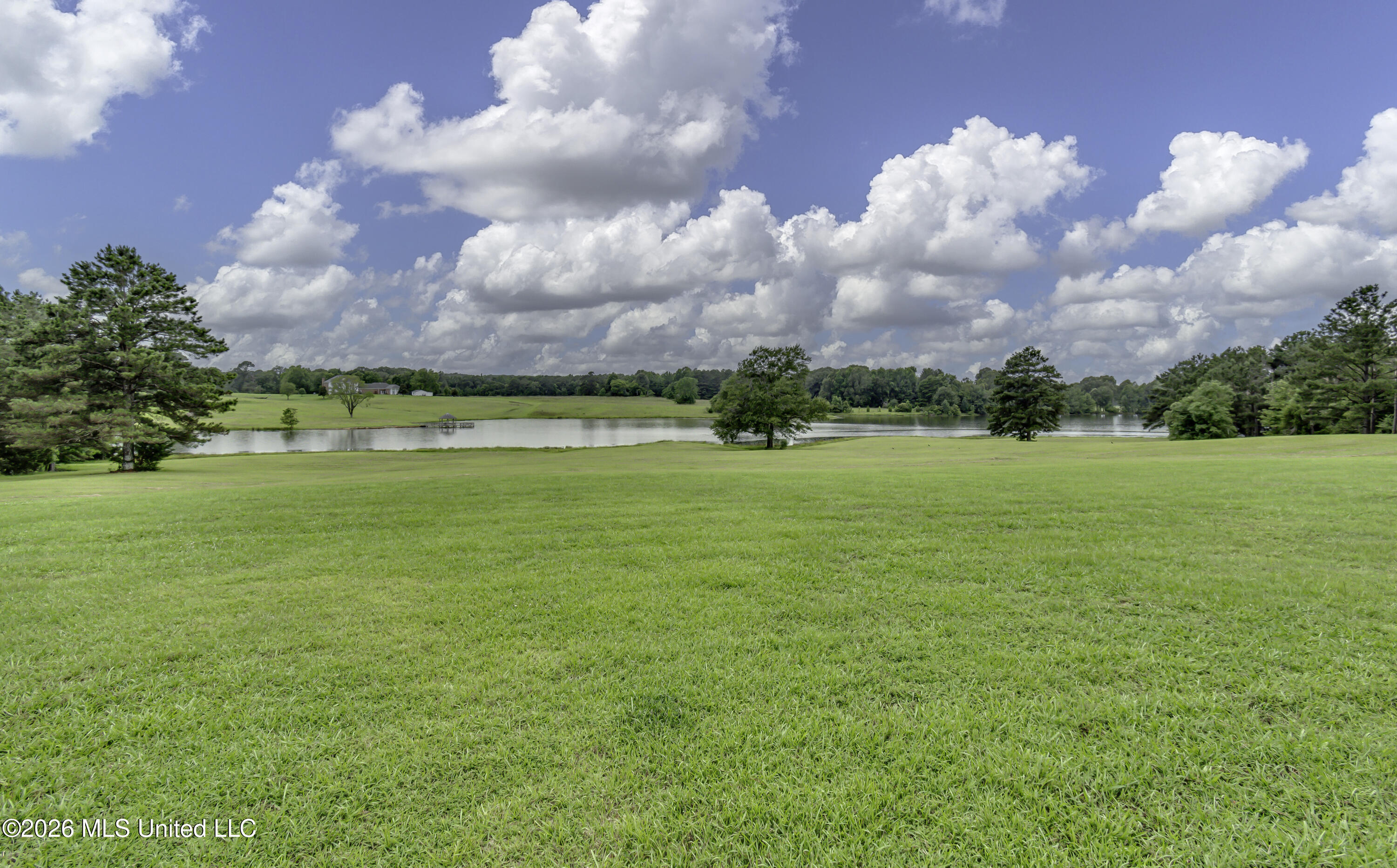 251 Highland Meadow Road Flora, MS 39071 - Photo 18 of 89 251 Highland Meadow Rd--18