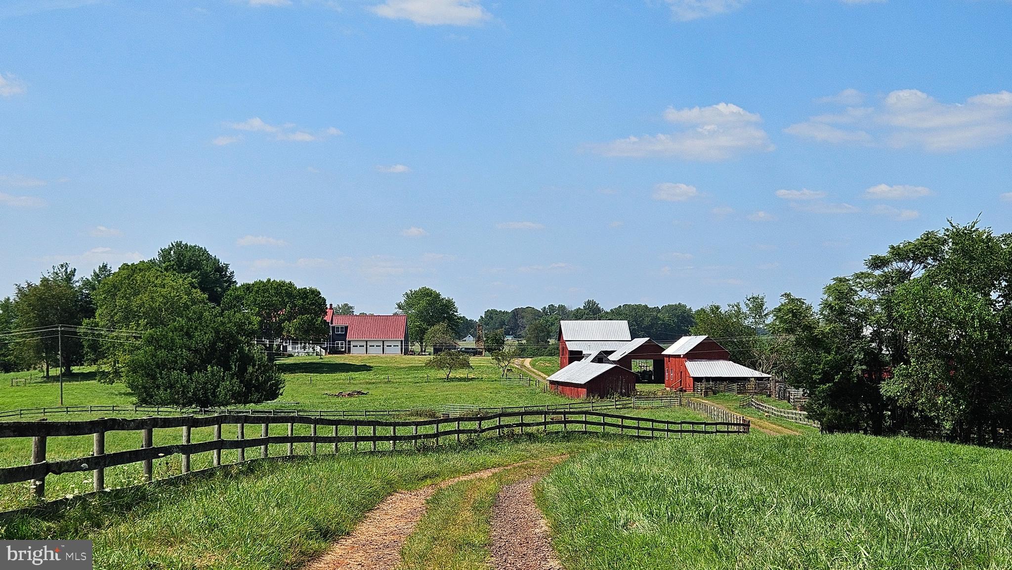 9534 Spring Hill Lane Rixeyville, VA 22737 - Photo 11 of 70 a view of a park with large trees