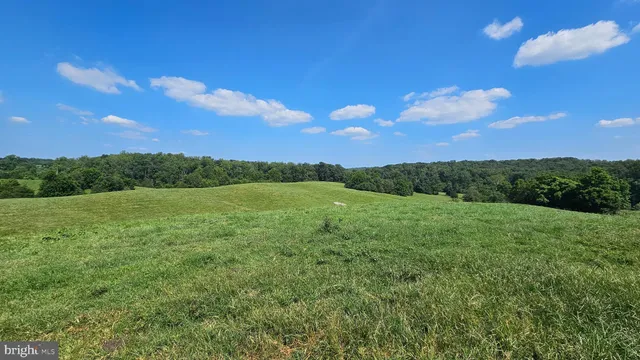 a view of a yard with wooden fence