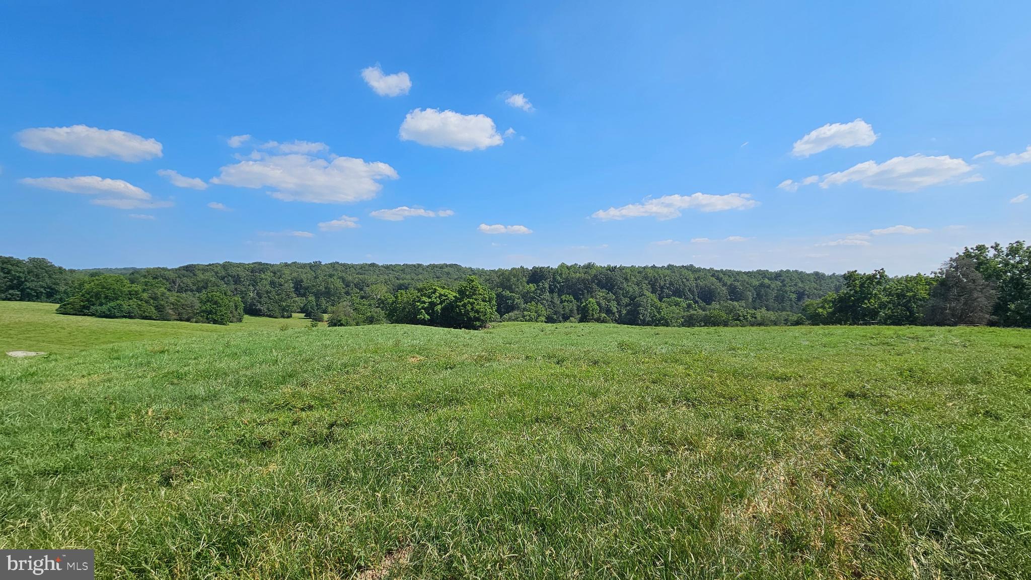 9534 Spring Hill Lane Rixeyville, VA 22737 - Photo 14 of 70 a view of a big yard with a large tree