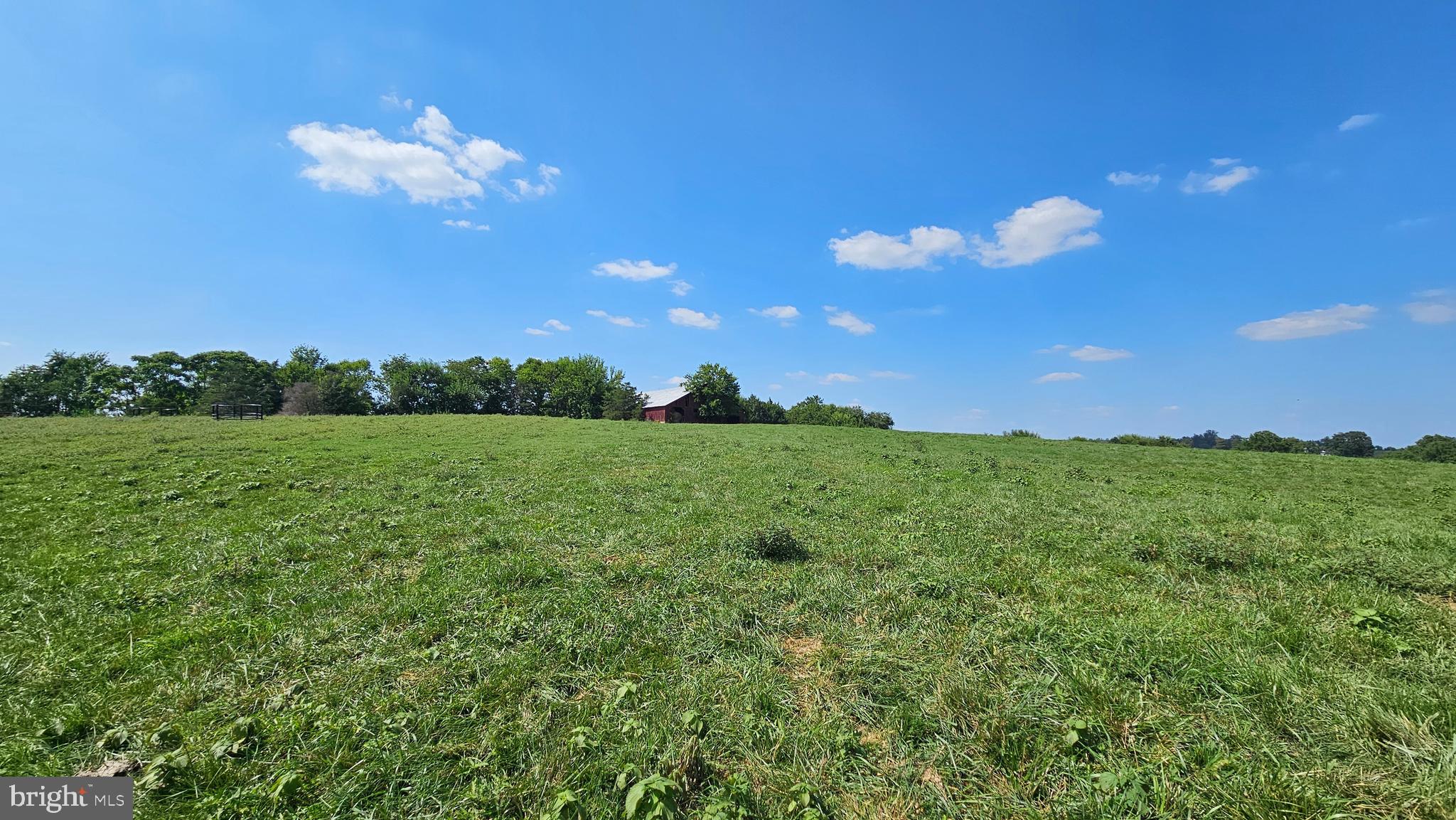 9534 Spring Hill Lane Rixeyville, VA 22737 - Photo 15 of 70 a view of a big yard with plants and large trees