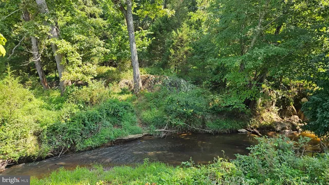 a view of a field with an ocean and trees in the background