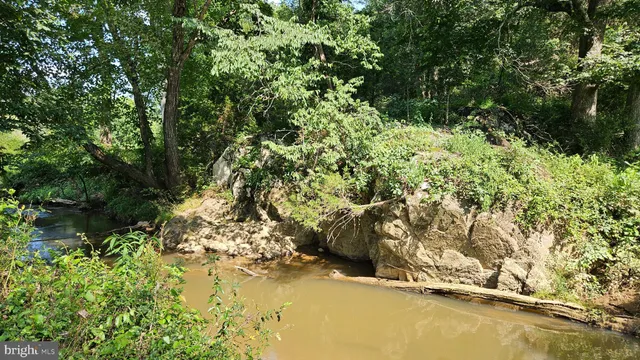 a view of a green field of grass and flowers