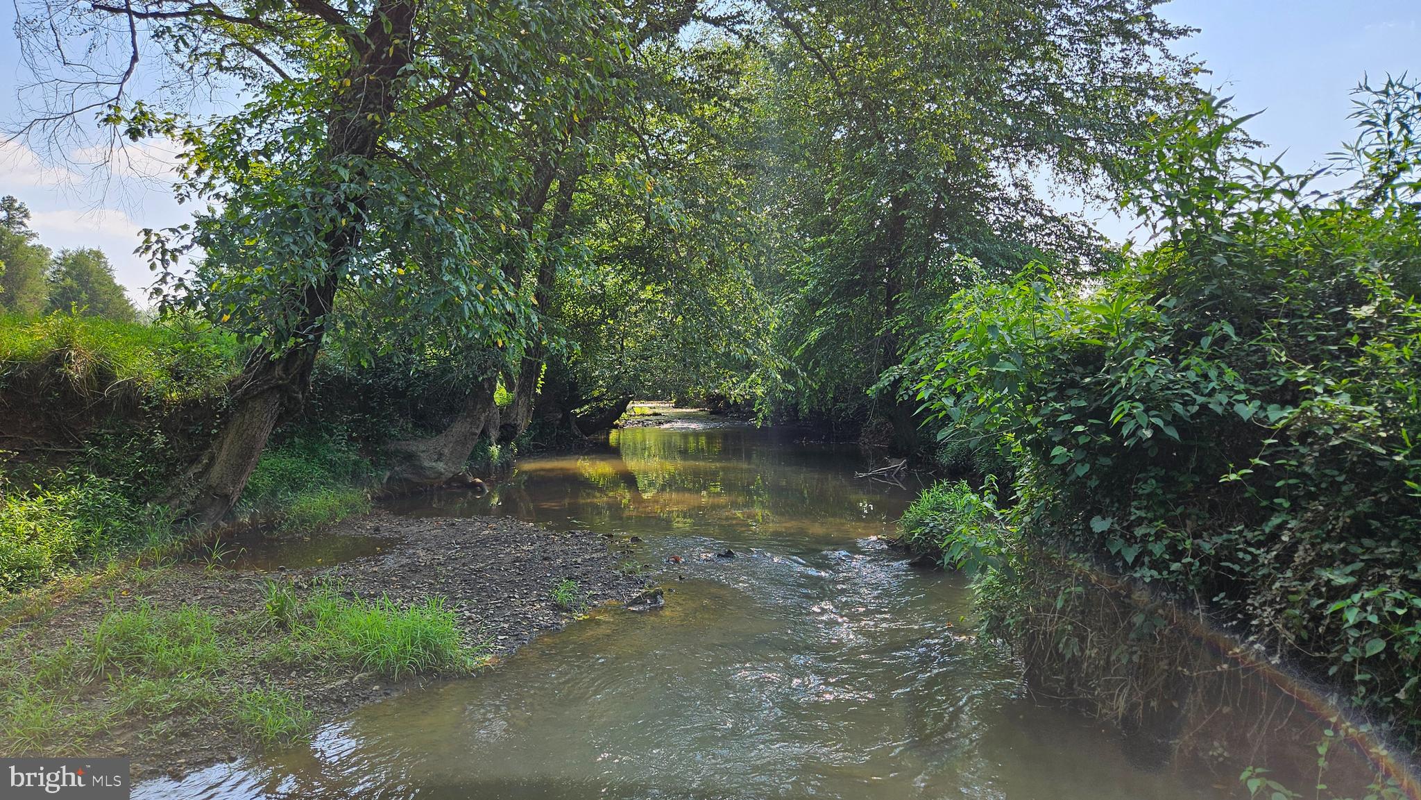 9534 Spring Hill Lane Rixeyville, VA 22737 - Photo 20 of 70 a view of a water pond with green space