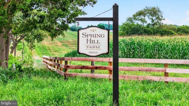 a green field with lots of bushes