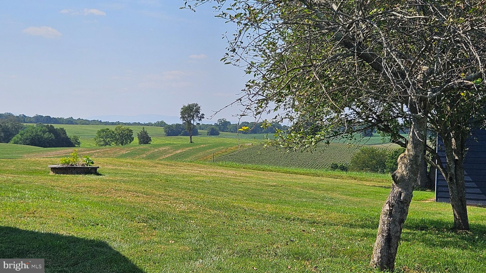 9534 Spring Hill Lane Rixeyville, VA 22737 - Photo 24 of 70 a view of a golf course with a lake