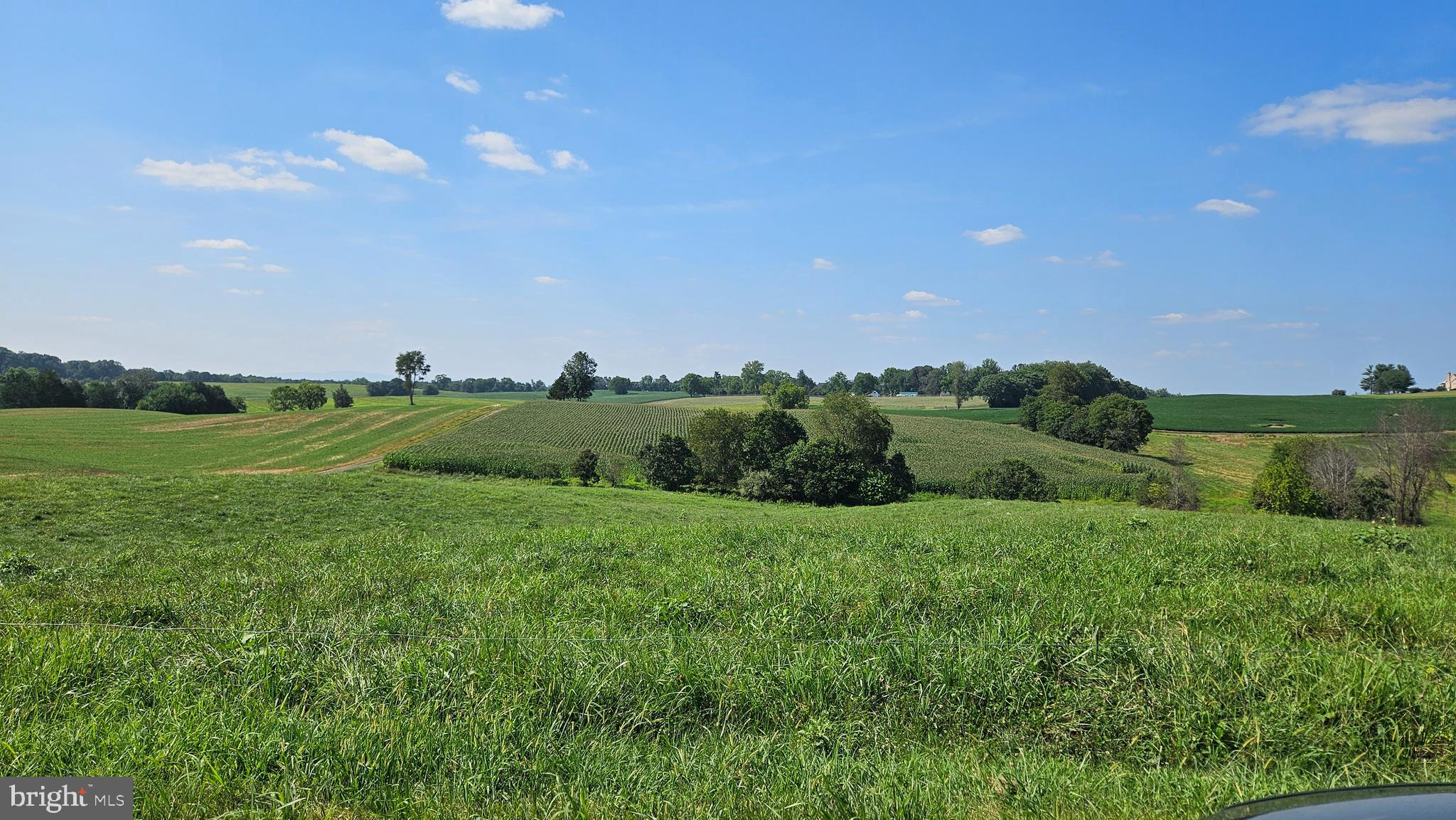9534 Spring Hill Lane Rixeyville, VA 22737 - Photo 25 of 70 a view of a field with an ocean and trees in the background