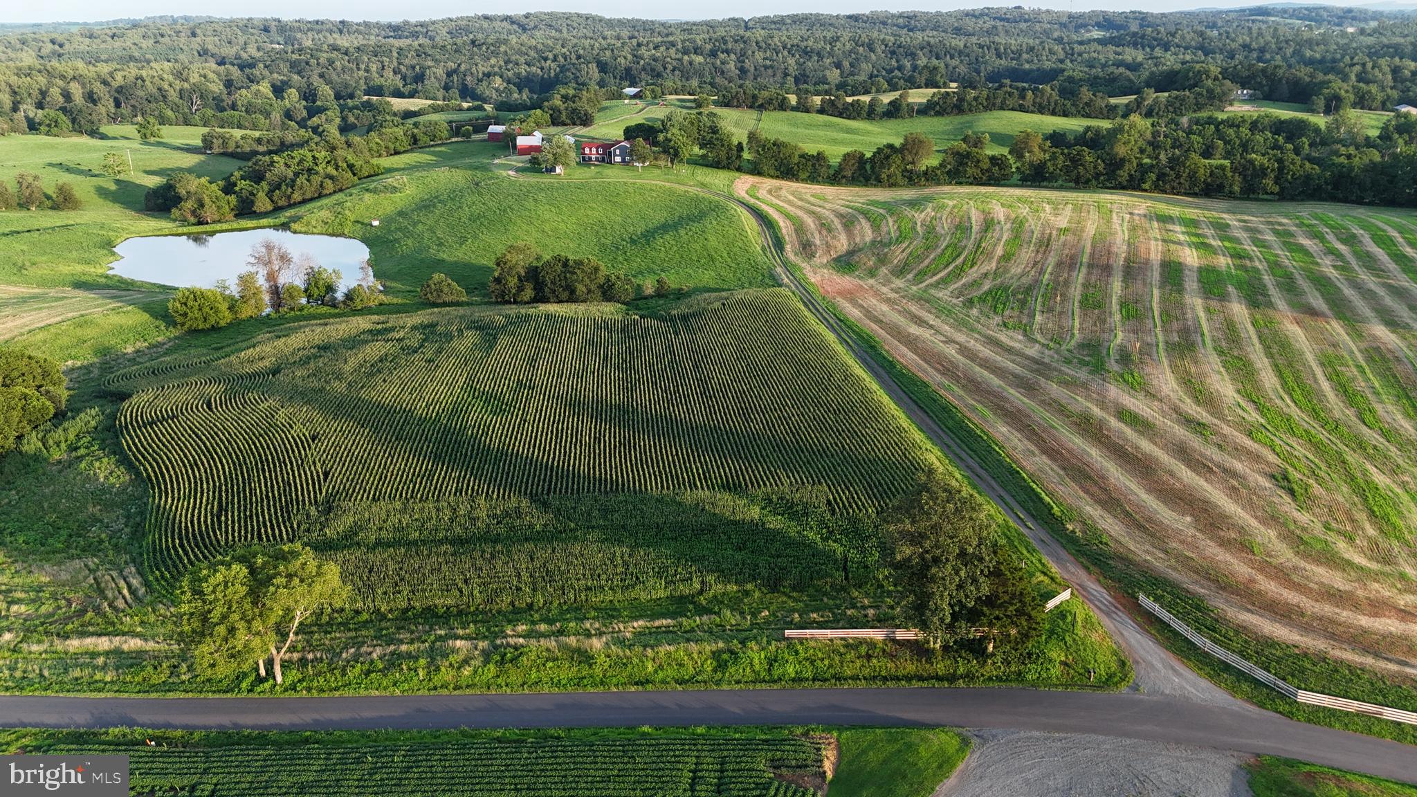 9534 Spring Hill Lane Rixeyville, VA 22737 - Photo 27 of 70 a view of a green field of grass and flowers