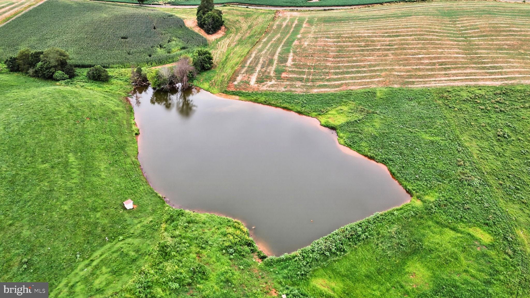 9534 Spring Hill Lane Rixeyville, VA 22737 - Photo 3 of 70 1 acre pond
