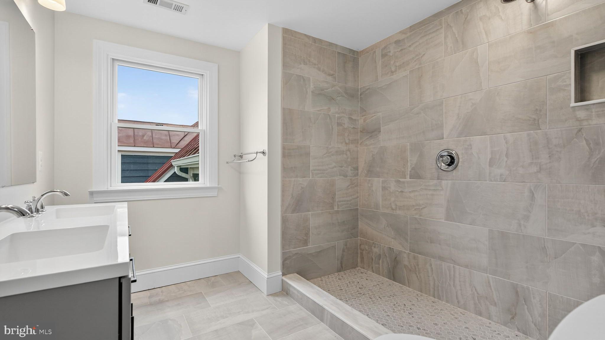 9534 Spring Hill Lane Rixeyville, VA 22737 - Photo 52 of 70 a bathroom with a shower a sink and a mirror