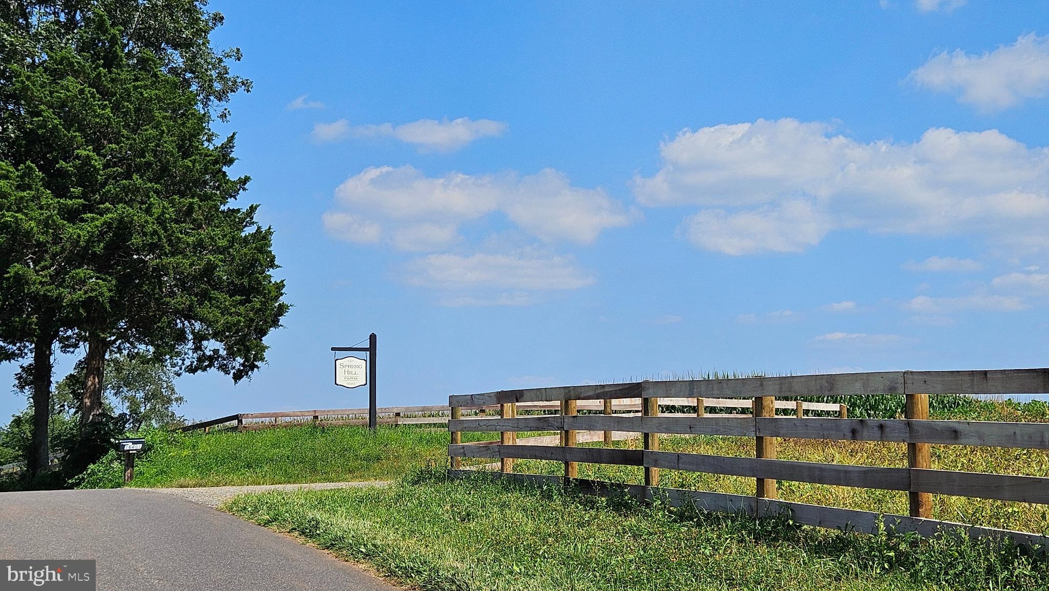 9534 Spring Hill Lane Rixeyville, VA 22737 - Photo 8 of 70 a view of a bench in a field