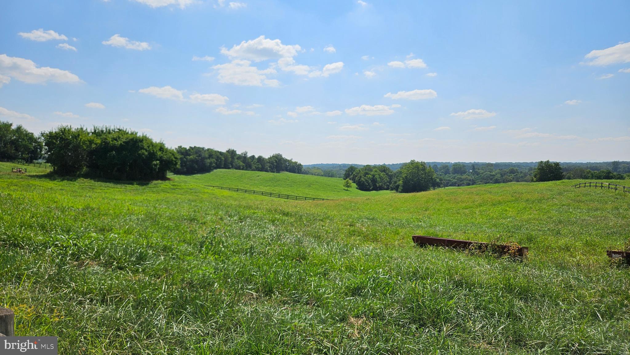 9534 Spring Hill Lane Rixeyville, VA 22737 - Photo 9 of 70 a view of a big yard with a large trees and plants