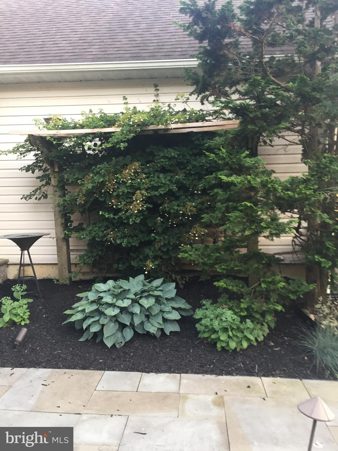 12 Murray Road Moorestown, NJ 08057 - Photo 52 of 54 Summertime Garden