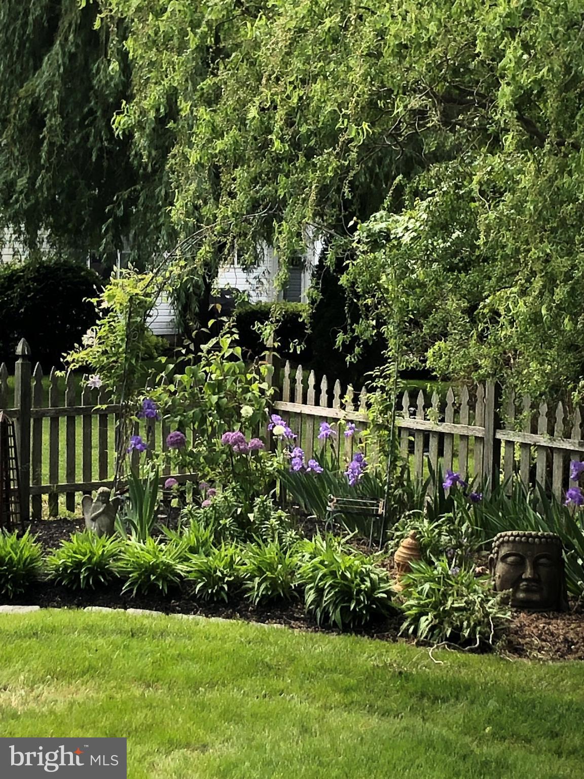 12 Murray Road Moorestown, NJ 08057 - Photo 53 of 54 Summertime Garden