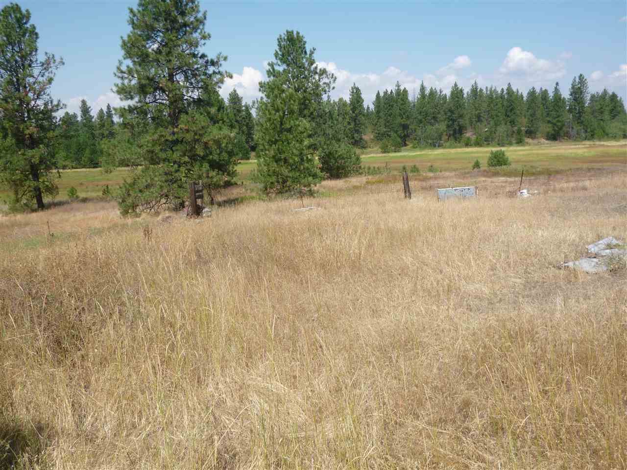 Tbd South Cheney Plaza Road Cheney, WA 99004 - Photo 6 of 9 Gallery Image 6