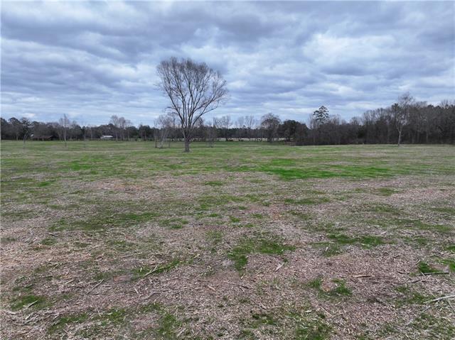 0 Pierce Road Angie, LA 70426 - Photo 11 of 59