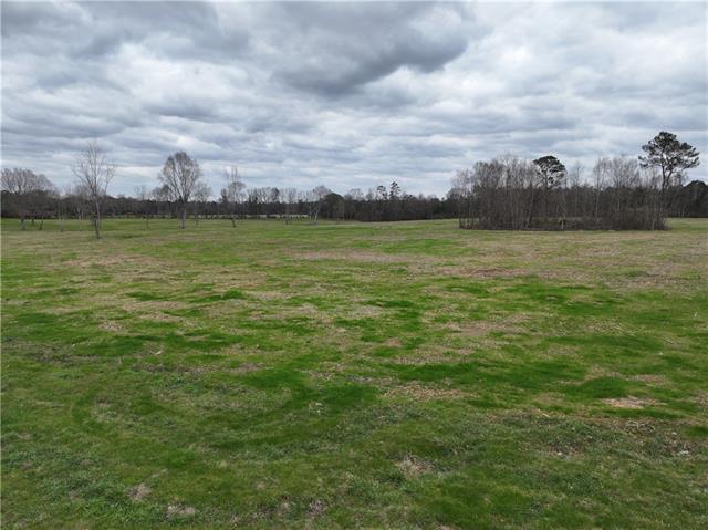 0 Pierce Road Angie, LA 70426 - Photo 14 of 59
