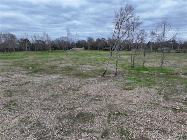 0 Pierce Road Angie, LA 70426 - Photo 17 of 59