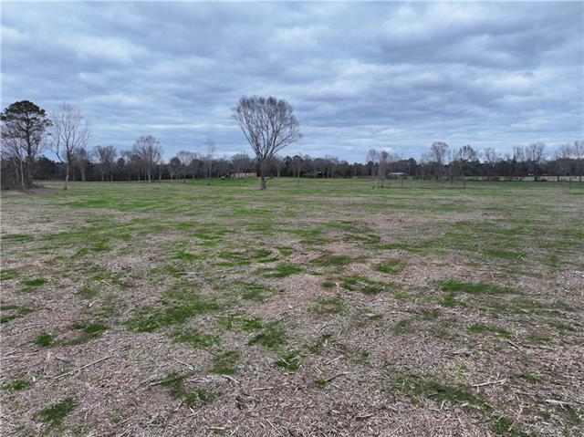 0 Pierce Road Angie, LA 70426 - Photo 18 of 59