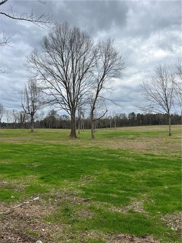 0 Pierce Road Angie, LA 70426 - Photo 19 of 59