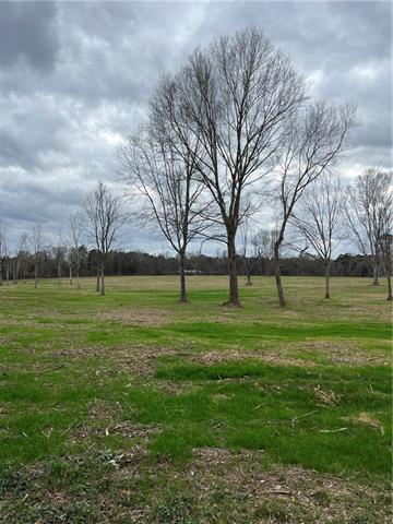 0 Pierce Road Angie, LA 70426 - Photo 23 of 59
