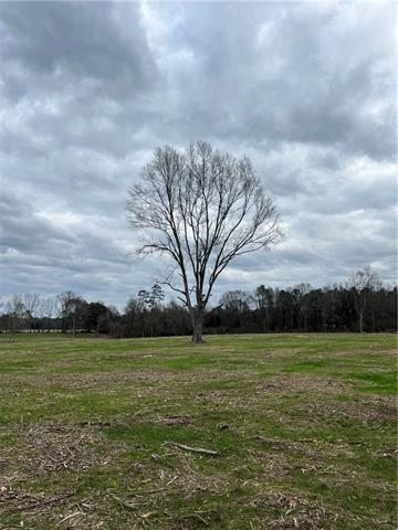 0 Pierce Road Angie, LA 70426 - Photo 24 of 59