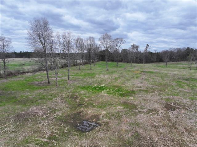 0 Pierce Road Angie, LA 70426 - Photo 32 of 59