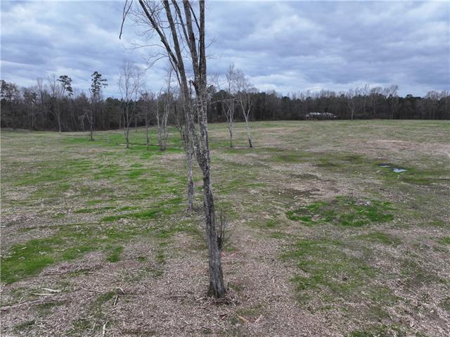 0 Pierce Road Angie, LA 70426 - Photo 39 of 59