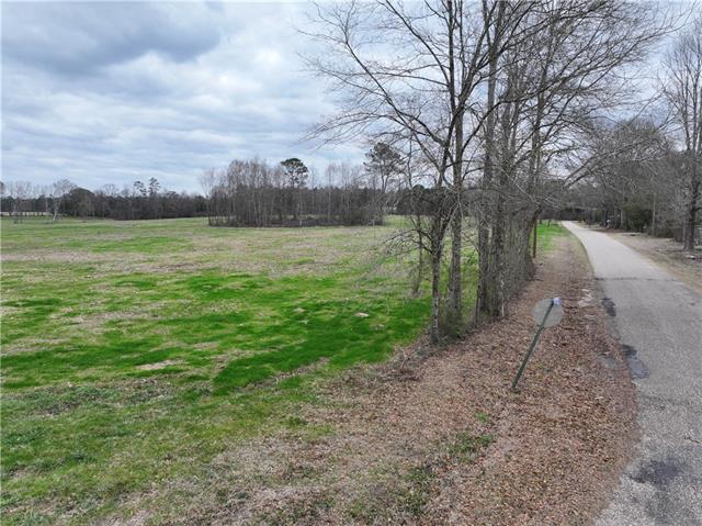 0 Pierce Road Angie, LA 70426 - Photo 41 of 59