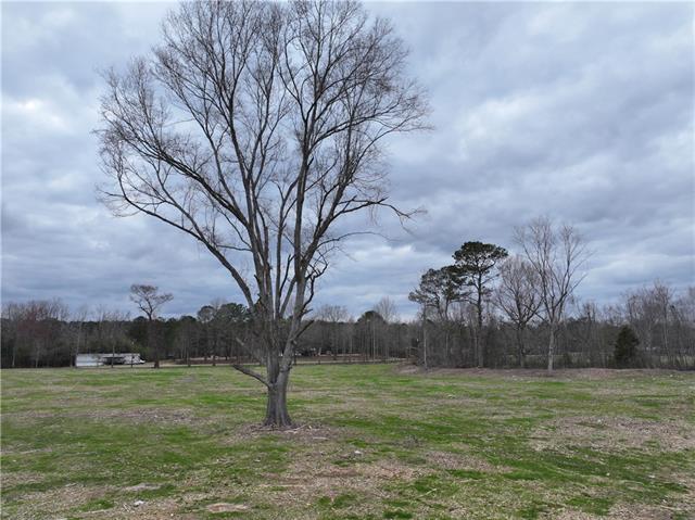 0 Pierce Road Angie, LA 70426 - Photo 49 of 59