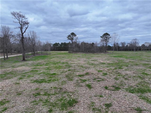 0 Pierce Road Angie, LA 70426 - Photo 52 of 59