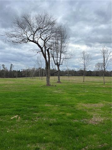 0 Pierce Road Angie, LA 70426 - Photo 54 of 59