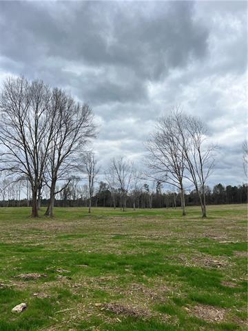 0 Pierce Road Angie, LA 70426 - Photo 55 of 59