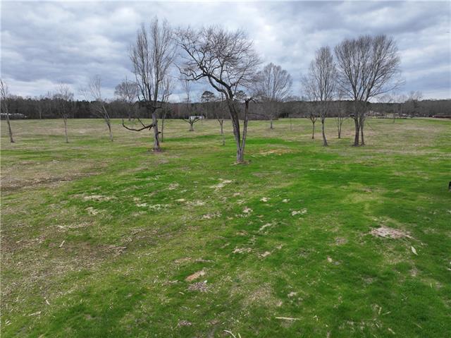 0 Pierce Road Angie, LA 70426 - Photo 10 of 59