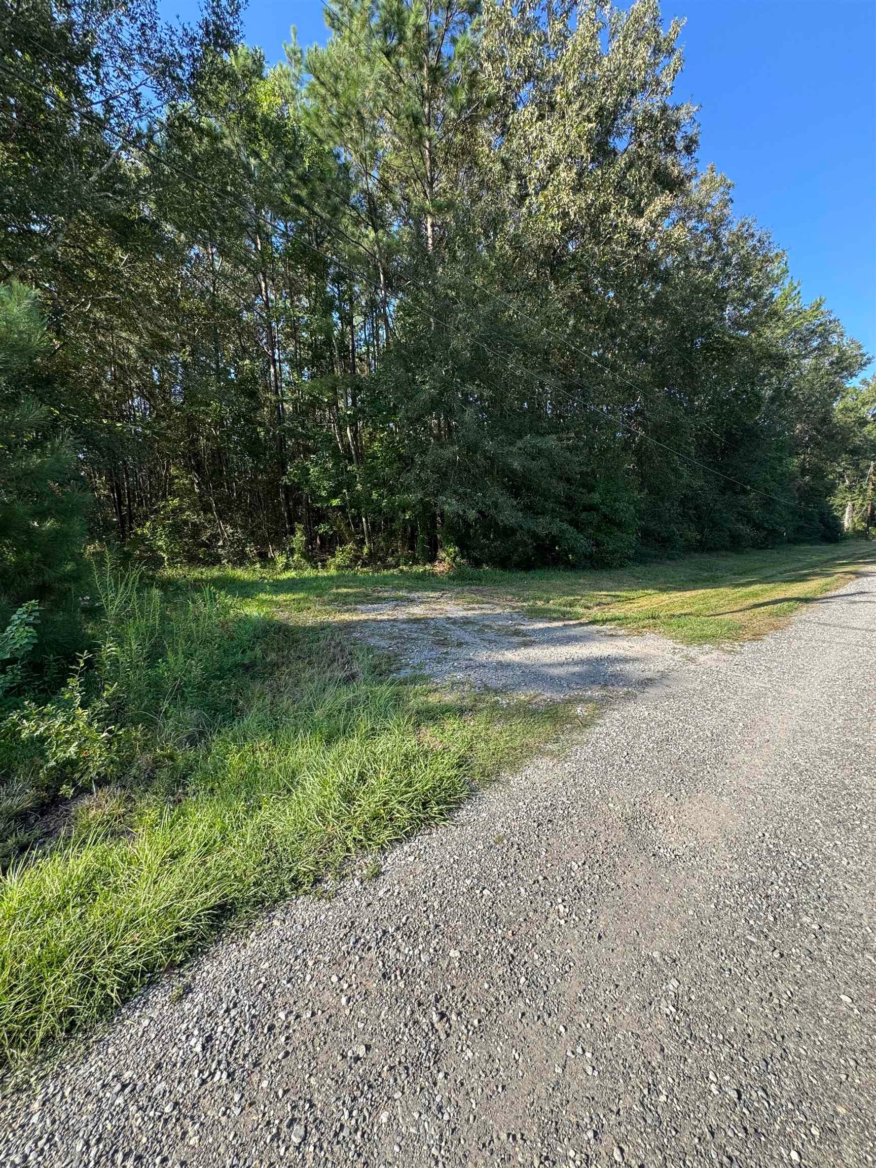 6265 Not Possum Road Orange, TX 77632 - Photo 2 of 6 Gallery Image 2