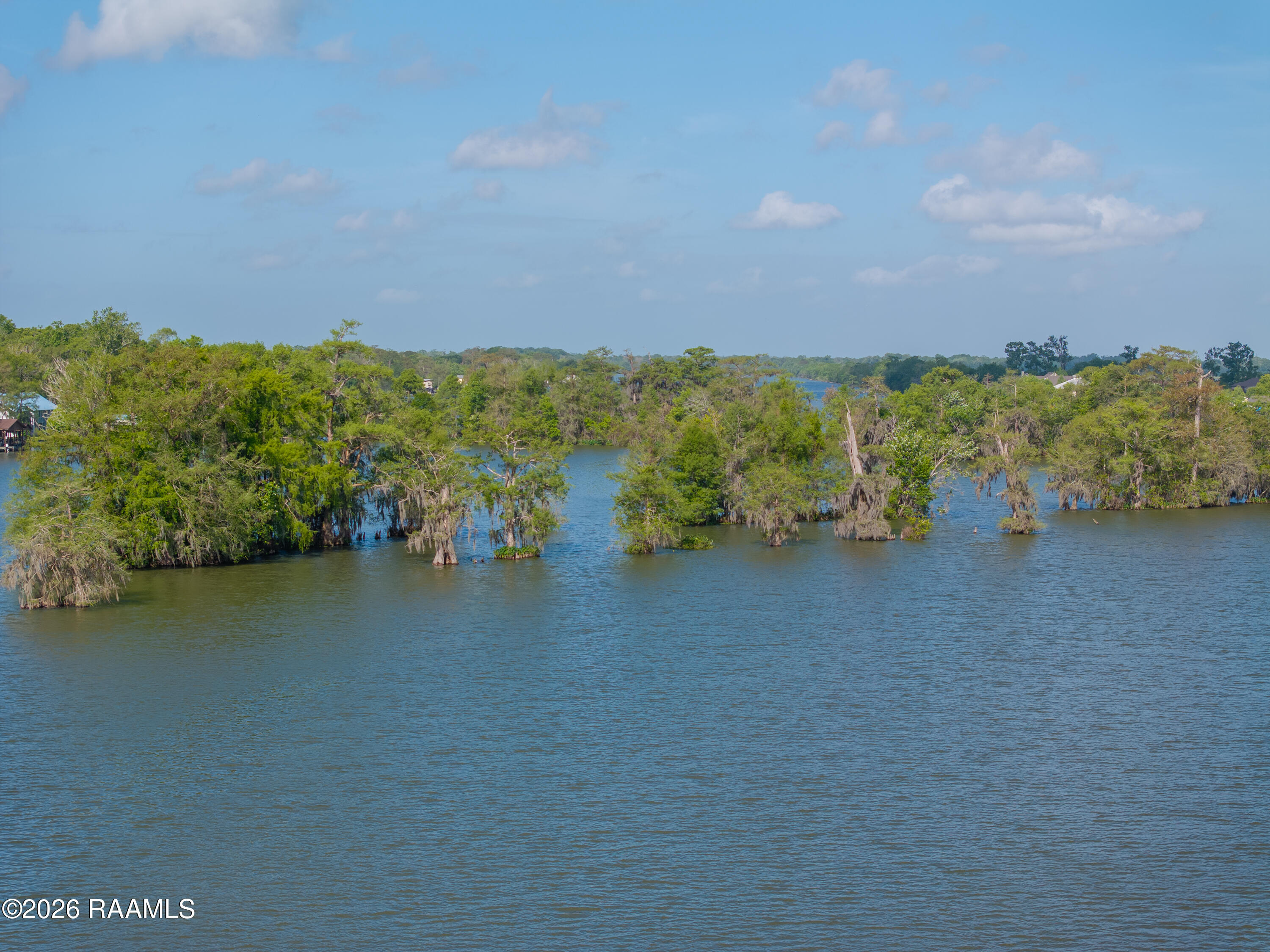 186 South Wilderness Road Port Barre, LA 70577 - Photo 4 of 46
