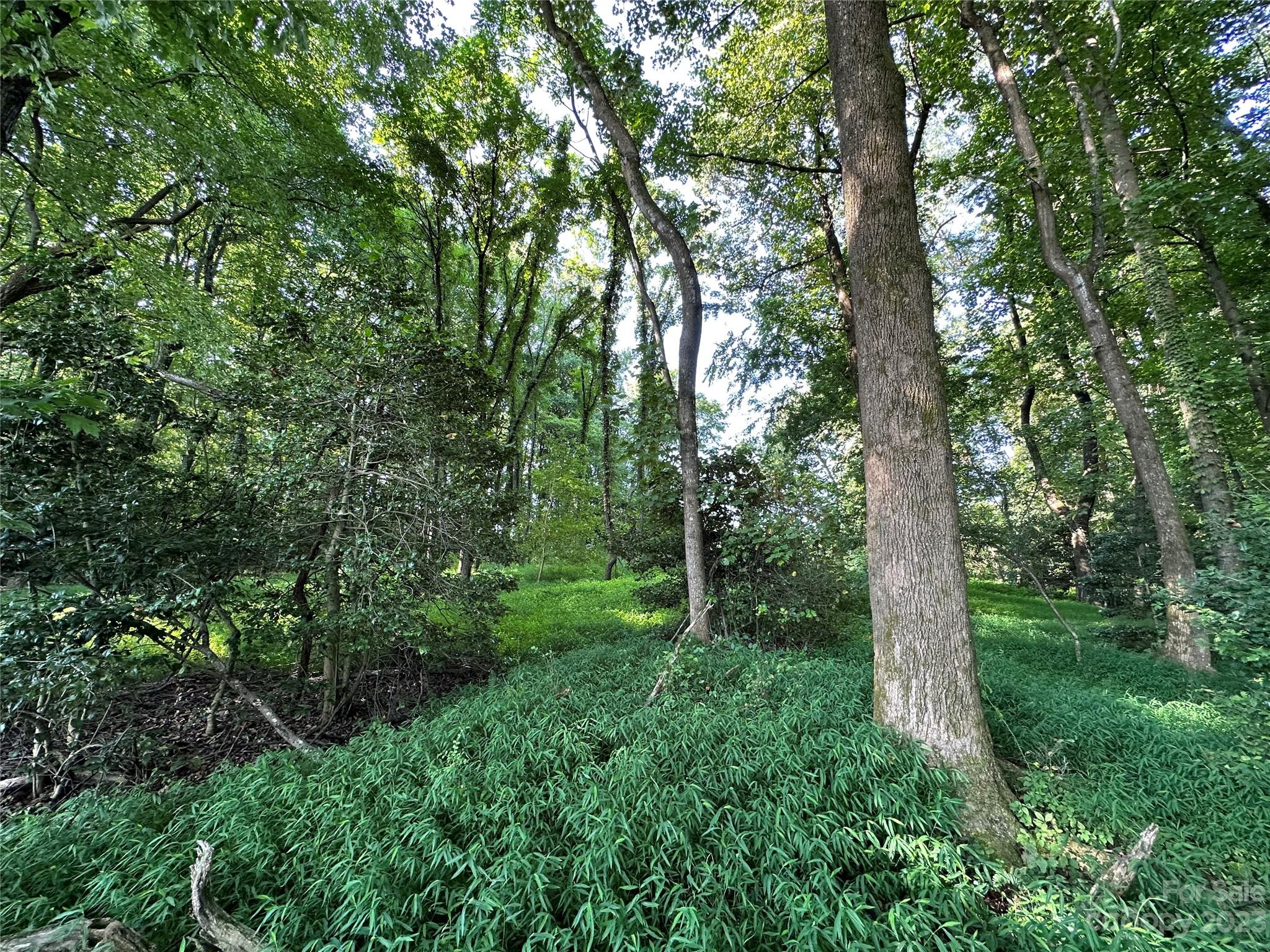 0 Wildcat Road Moravian Falls, NC 28654 - Photo 14 of 48 a view of outdoor space and green space