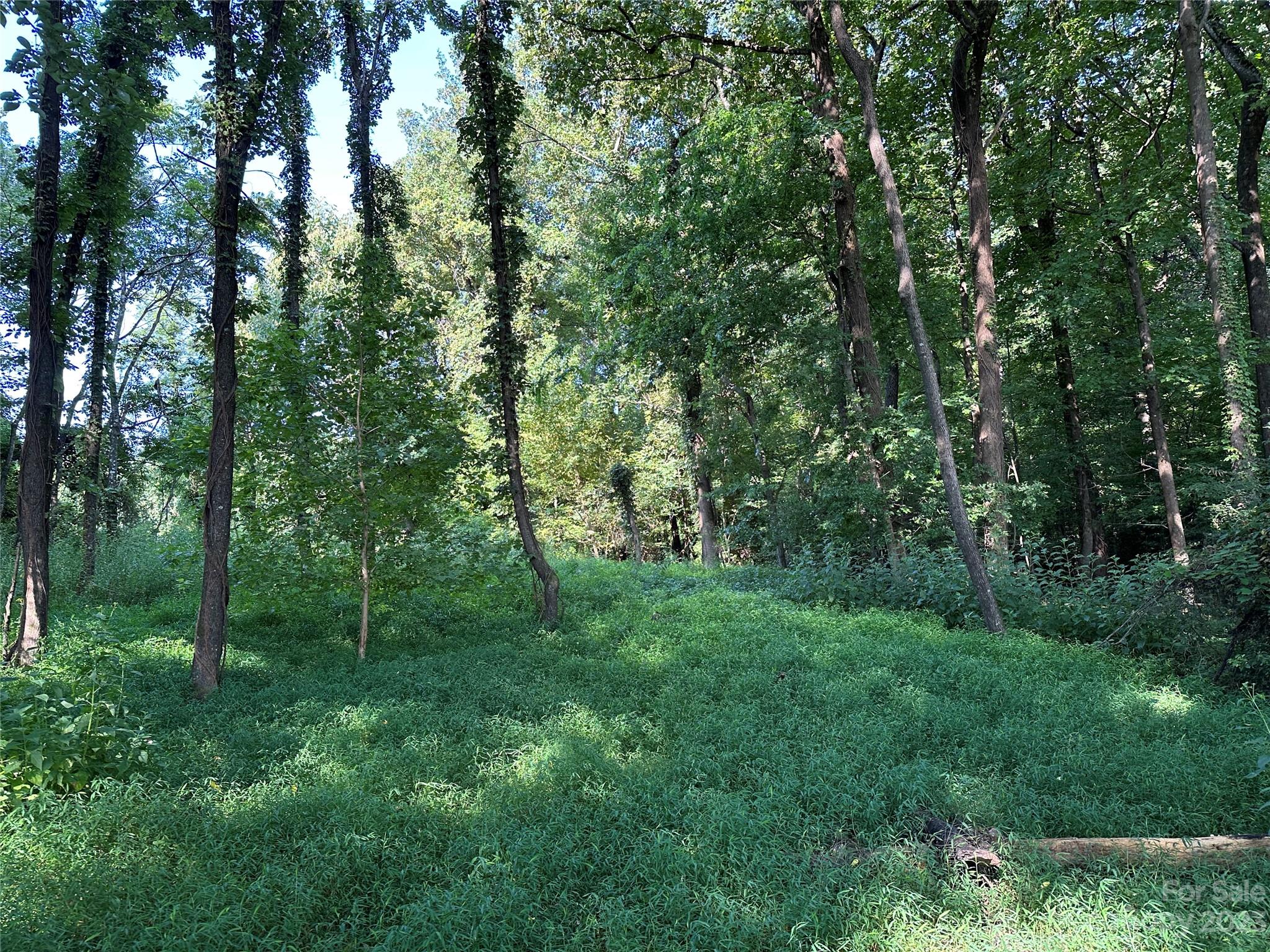 0 Wildcat Road Moravian Falls, NC 28654 - Photo 16 of 48