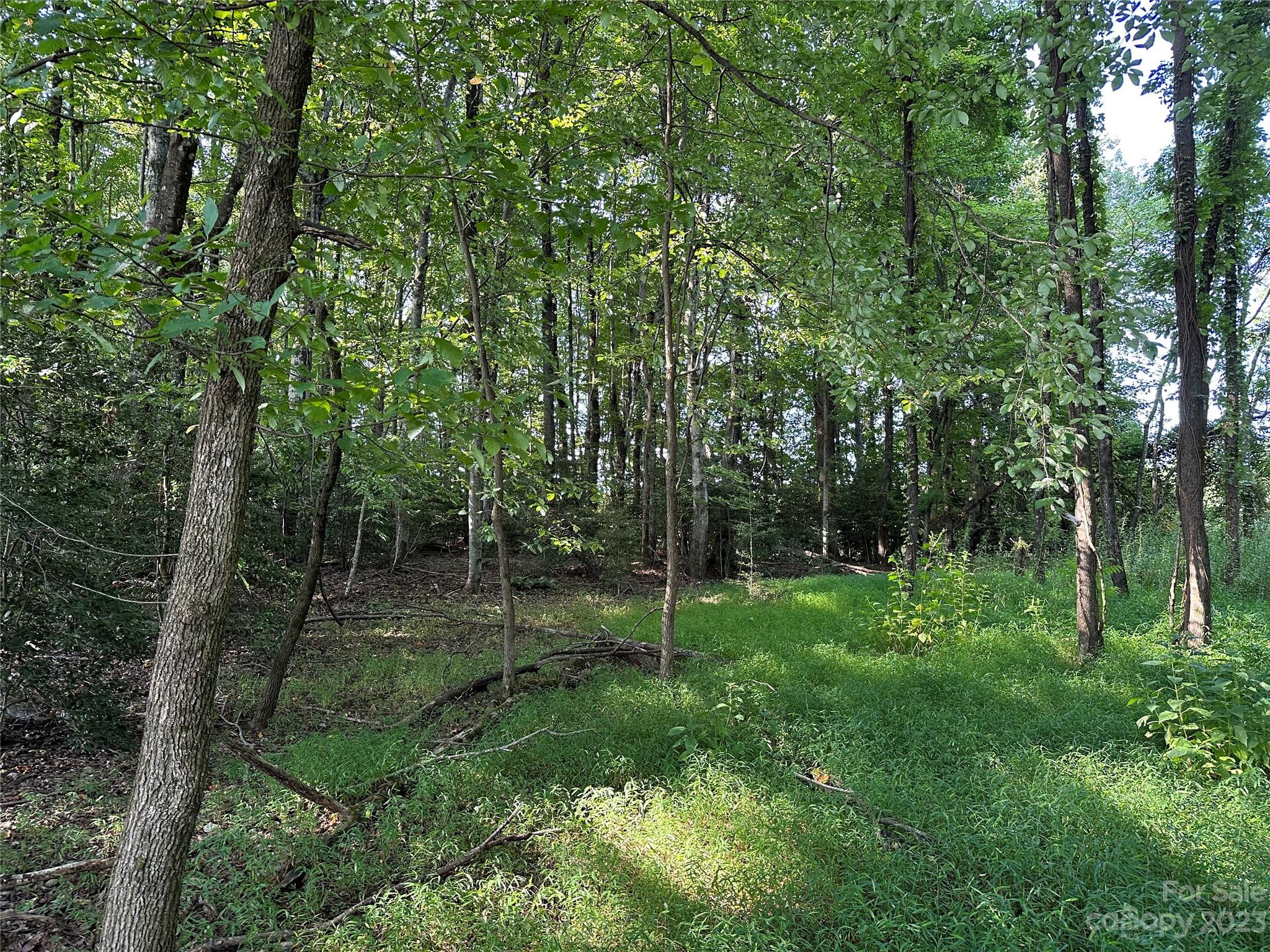 0 Wildcat Road Moravian Falls, NC 28654 - Photo 17 of 48 a view of a park