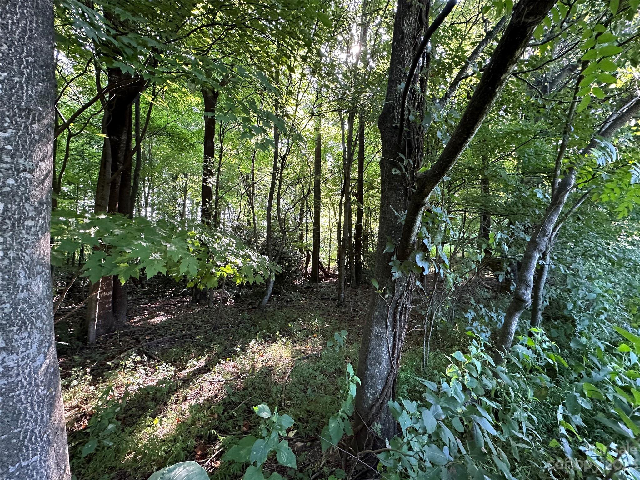 0 Wildcat Road Moravian Falls, NC 28654 - Photo 2 of 48 a backyard of a house with lots of green space
