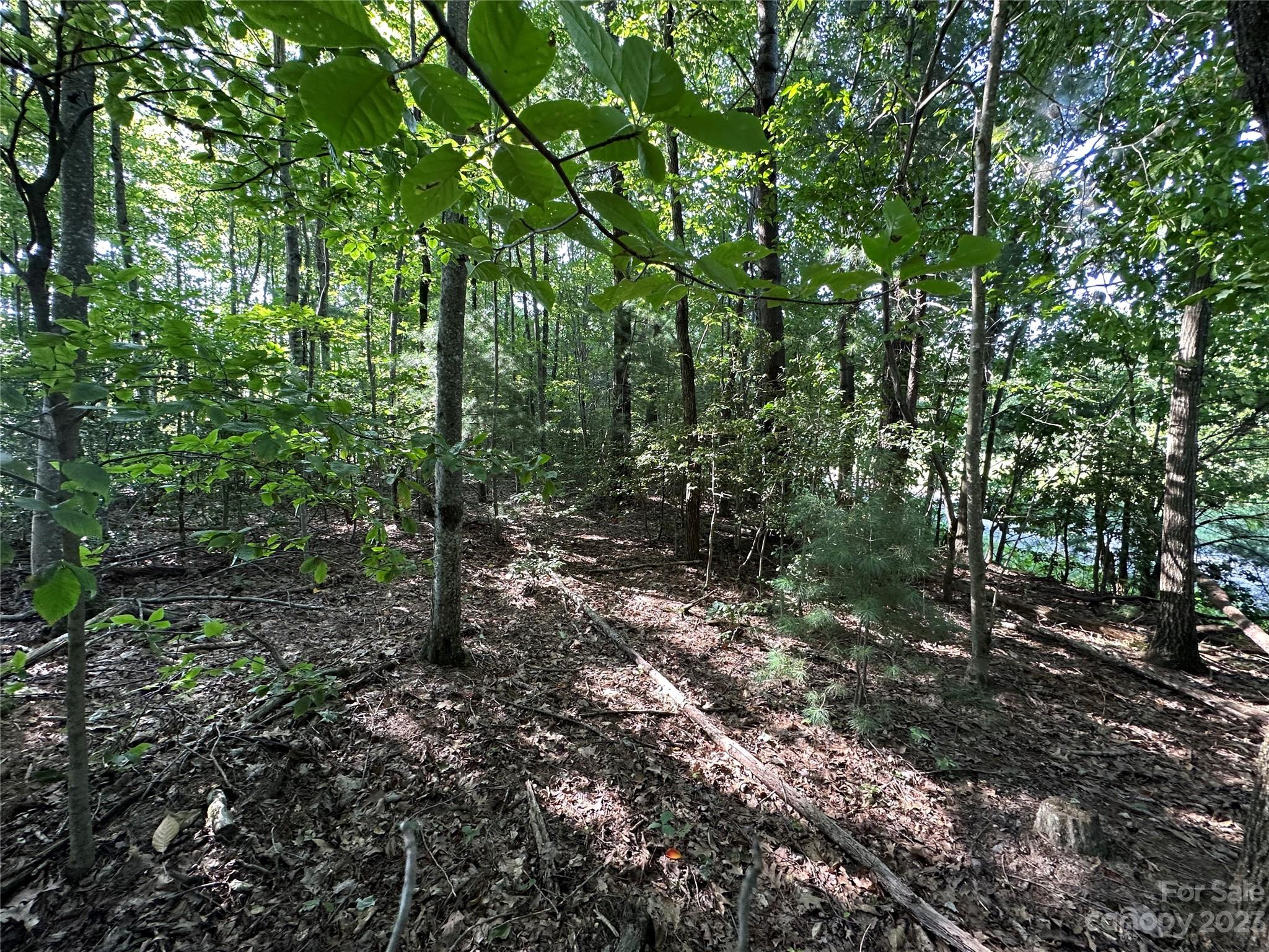0 Wildcat Road Moravian Falls, NC 28654 - Photo 30 of 48 a big yard with lots of green space and tiles