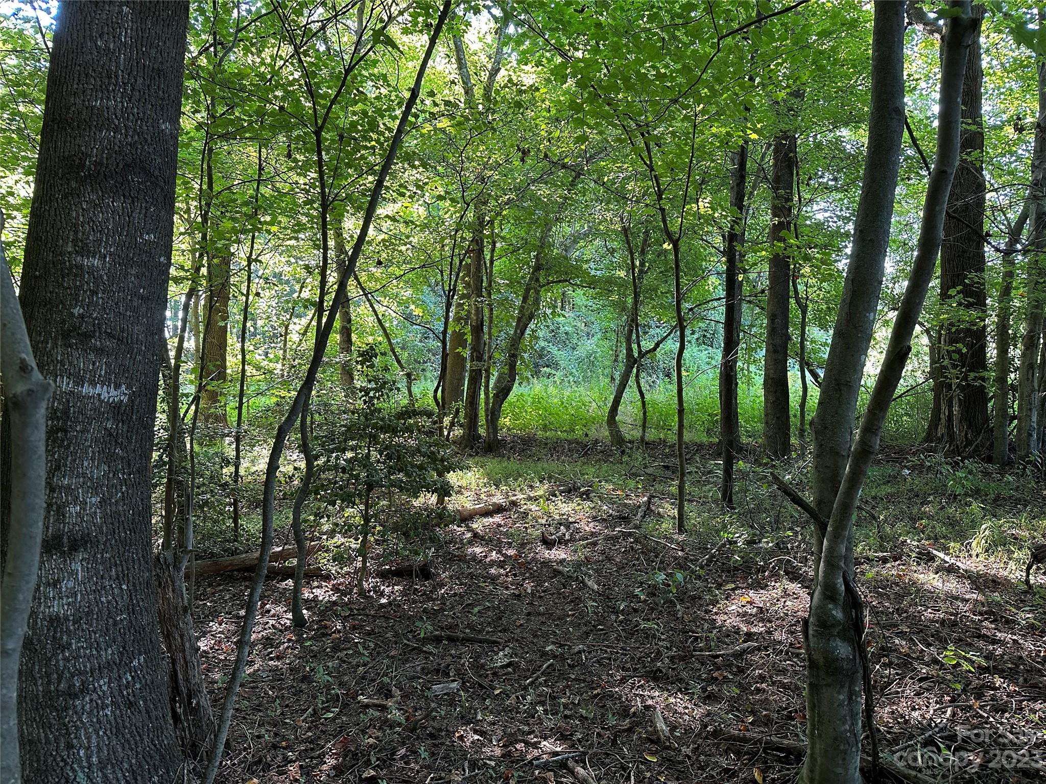 0 Wildcat Road Moravian Falls, NC 28654 - Photo 3 of 48 a view of outdoor space and trees