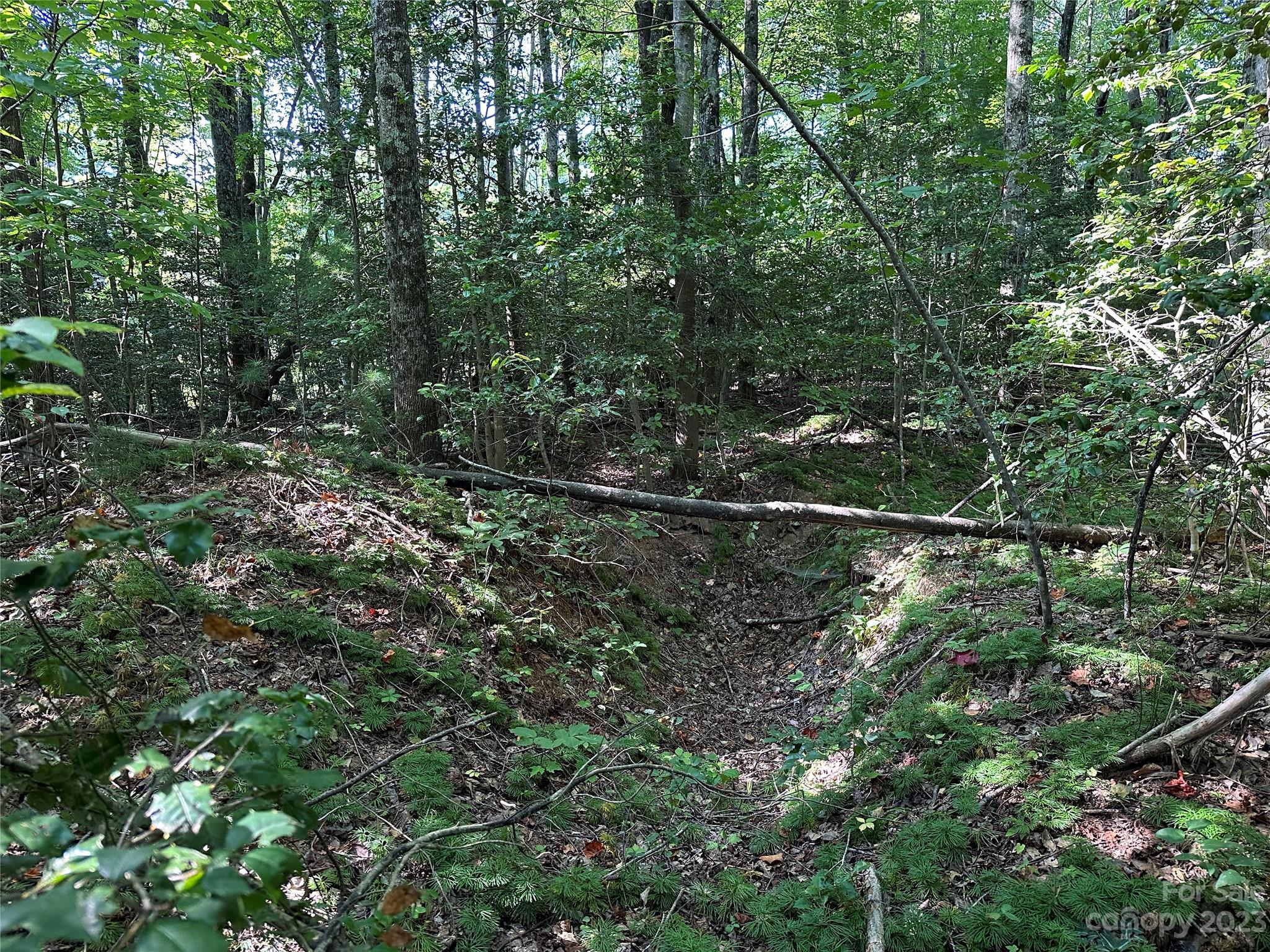 0 Wildcat Road Moravian Falls, NC 28654 - Photo 39 of 48 a view of a yard