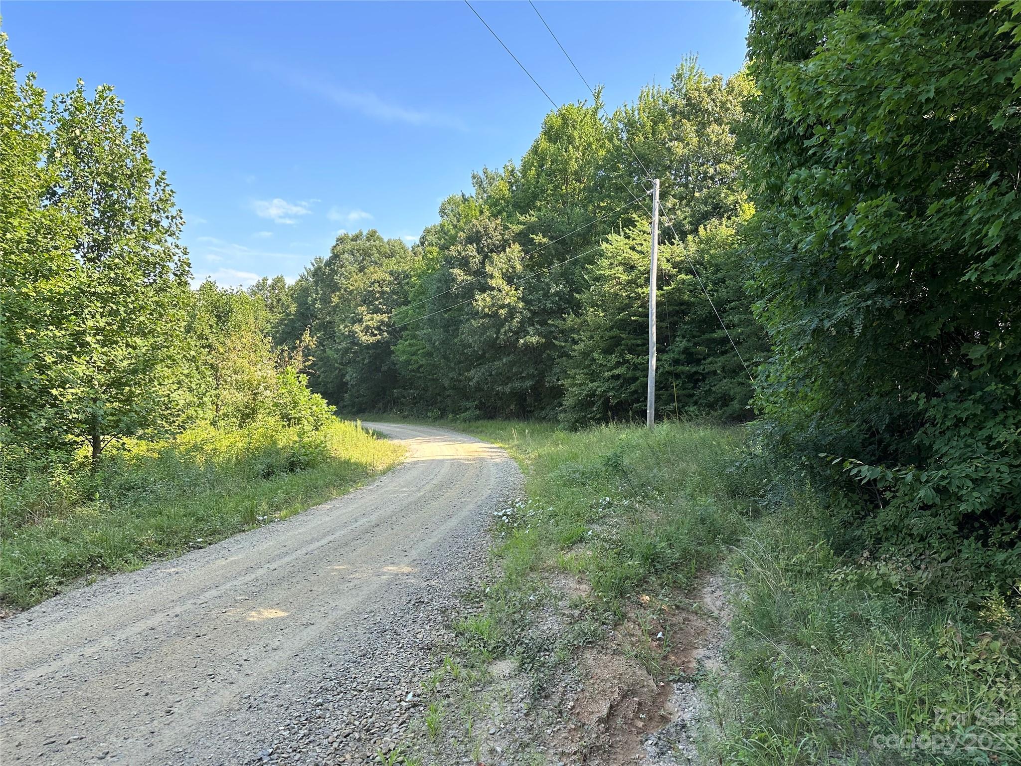 0 Wildcat Road Moravian Falls, NC 28654 - Photo 44 of 48 a view of a backyard