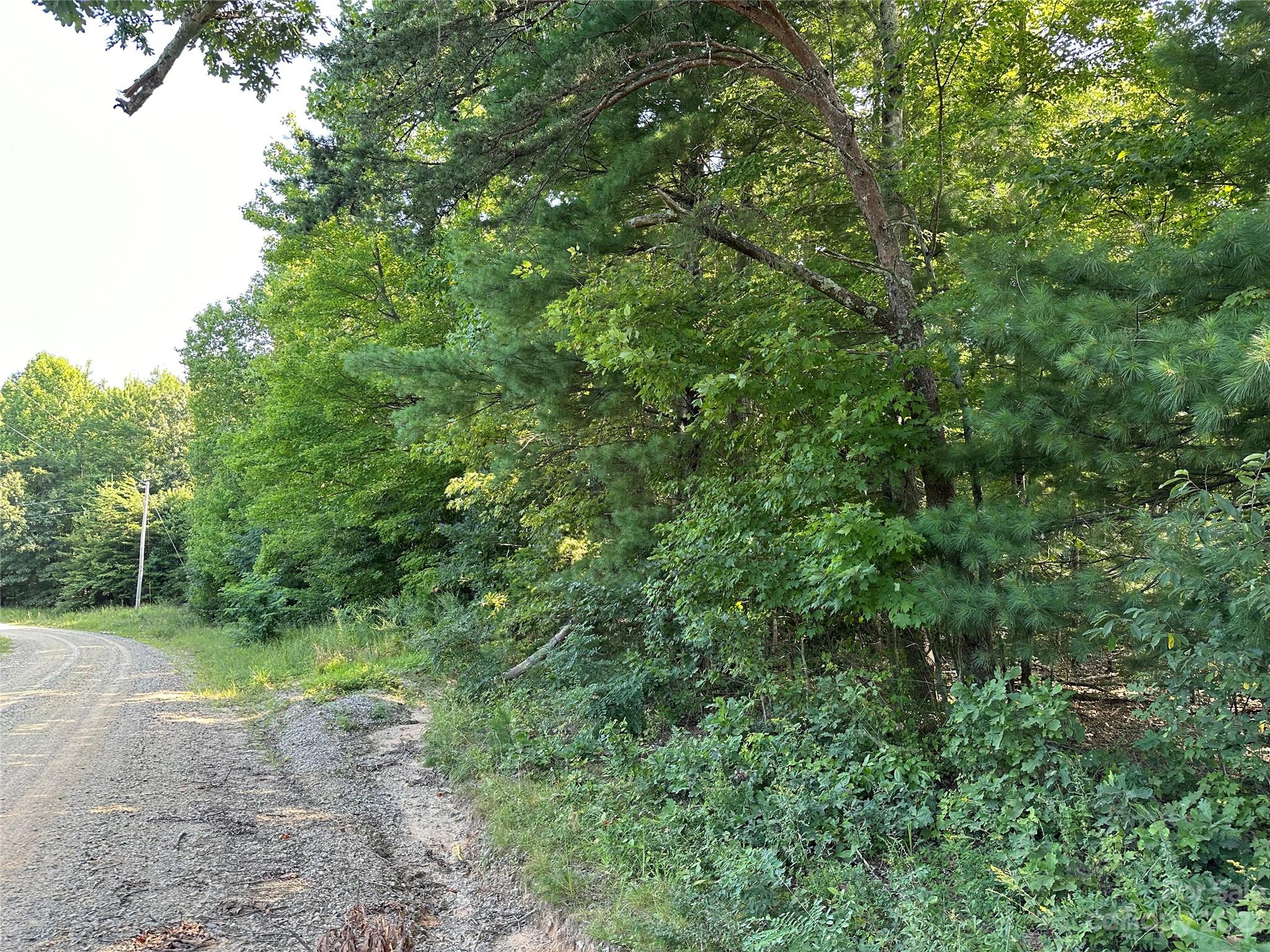 0 Wildcat Road Moravian Falls, NC 28654 - Photo 45 of 48 a view of a yard with a tree