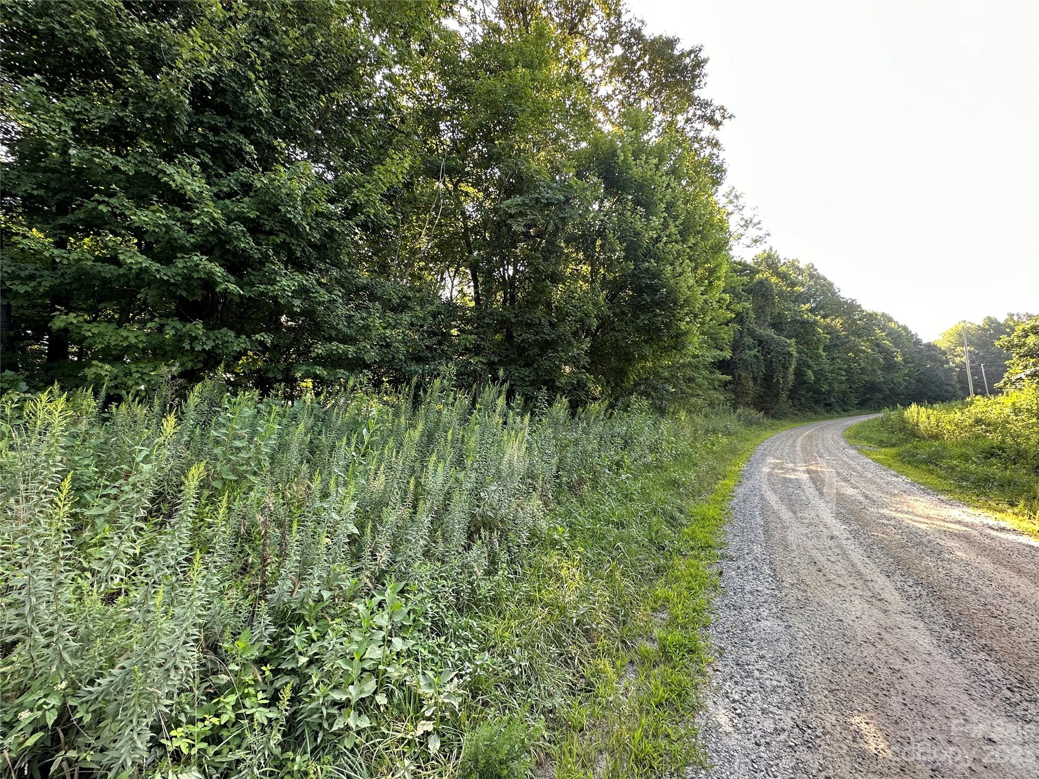 0 Wildcat Road Moravian Falls, NC 28654 - Photo 48 of 48 a view of a garden