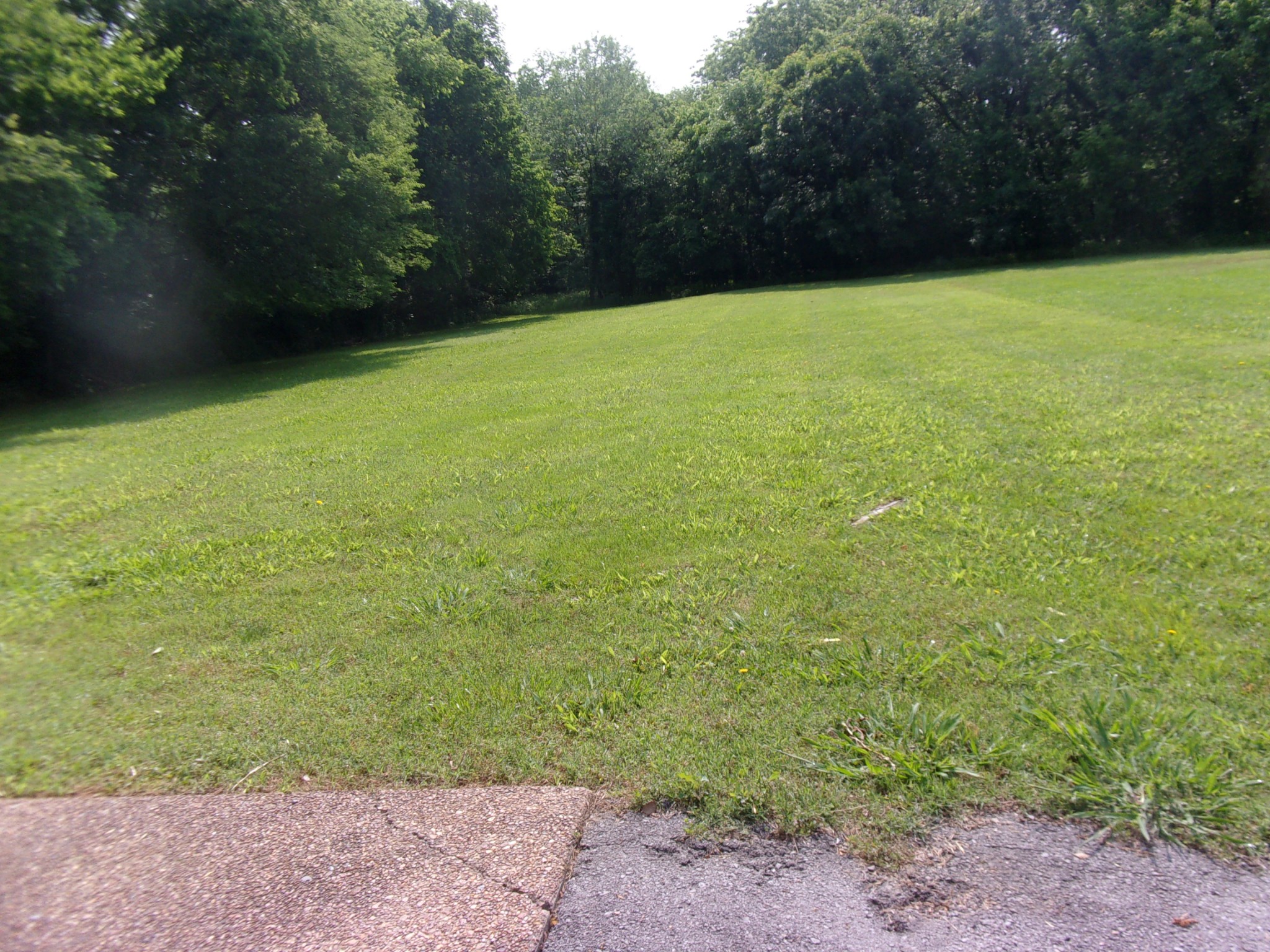 235 Hidden Acres, Unit A Lebanon, TN 37087 - Photo 2 of 14 a view of yard with swimming pool and trees