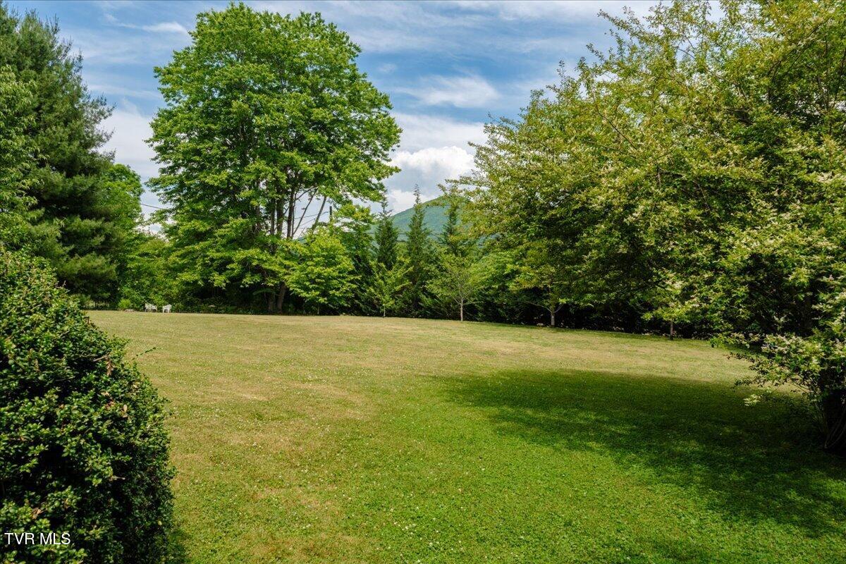 1036 Rittertown Road Hampton, TN 37658 - Photo 87 of 94 75-WBP-Rittertown-Rd-81