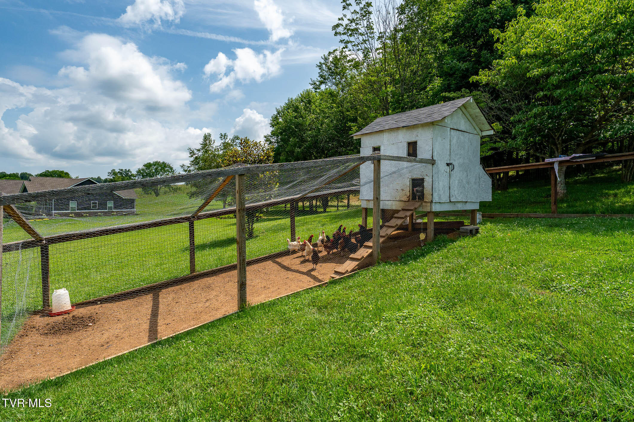 264 Hales Road Jonesborough, TN 37659 - Photo 9 of 86 264 Hales Rd (26 of 86)
